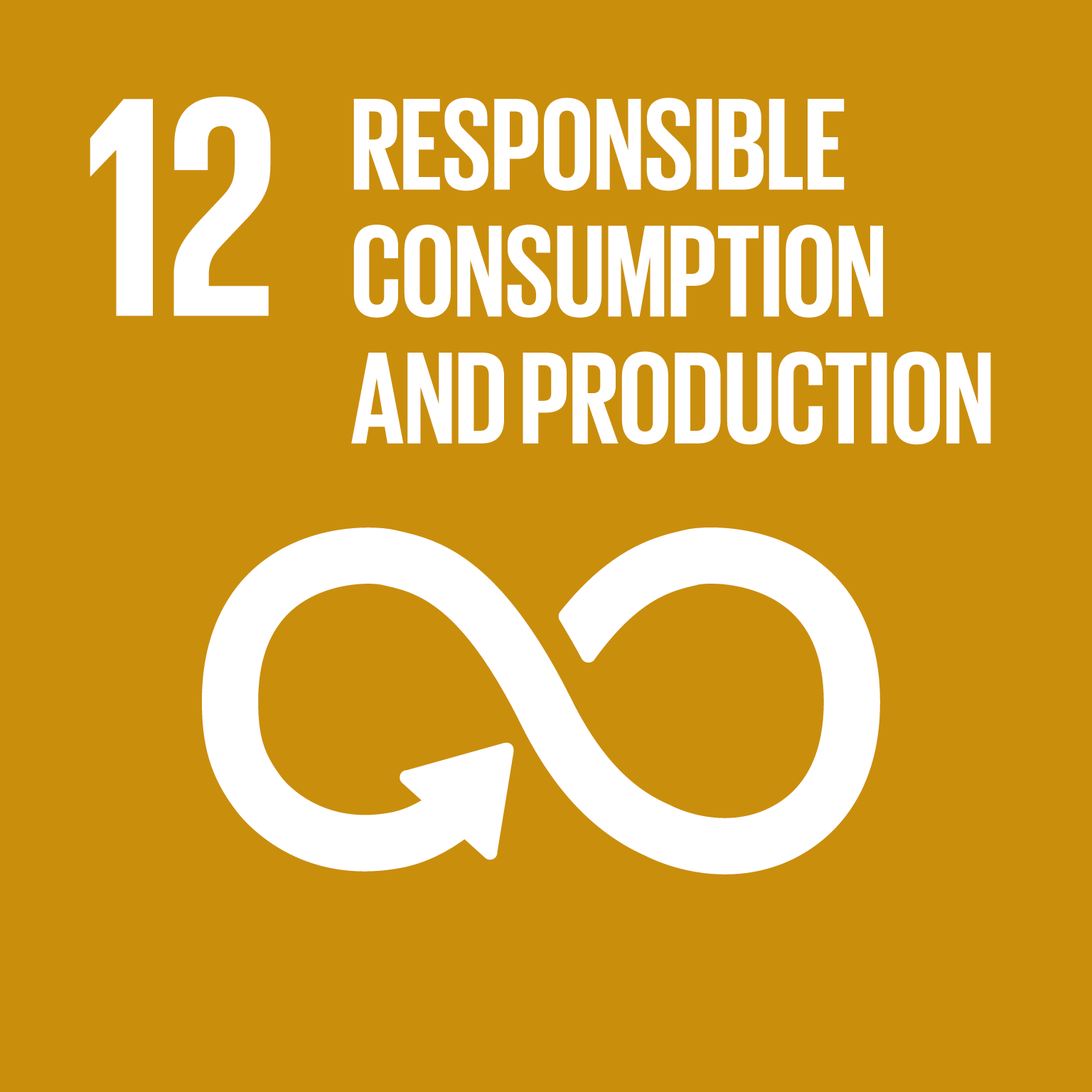 UN goal 12