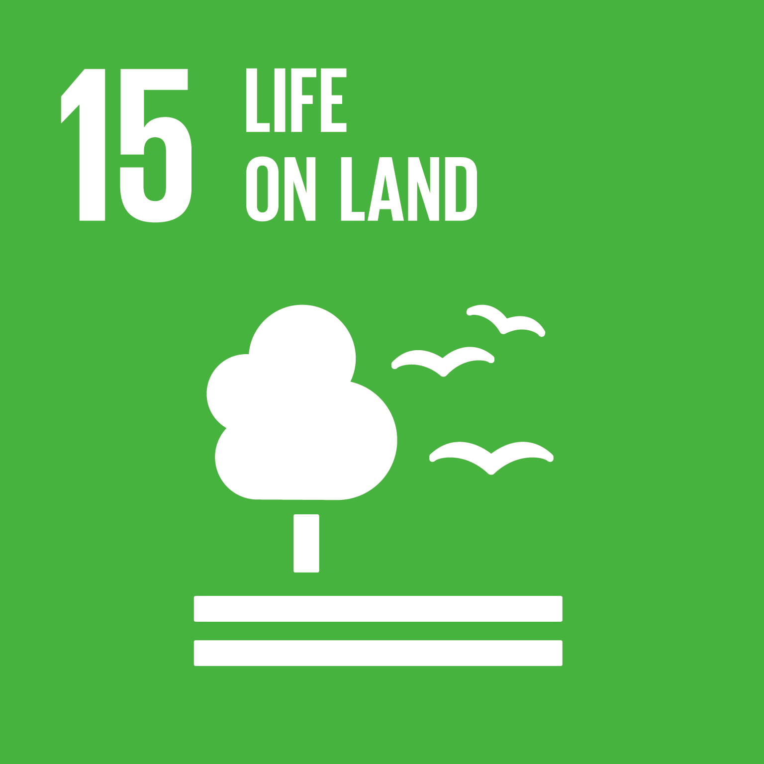 UN goal 15